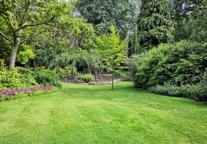 Optimiser l'expérience du jardin à Girancourt